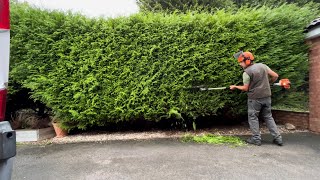 Homeowners Overgrown Hedge had not been Cut for 3 Years [upl. by Schafer249]