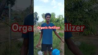 Mixing Organic Jeevamrutham for a Powerful Crop Boost  Secret Formula Revealed organicfarming [upl. by Adnaram]