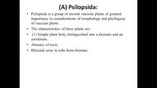 1 psilopsida intro and chracters [upl. by Ehcram]