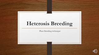 Heterosis introduction [upl. by King]