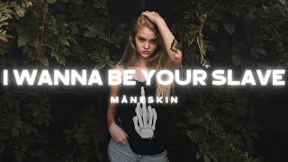 Måneskin  I WANNA BE YOUR SLAVE Lyrics [upl. by Avie]