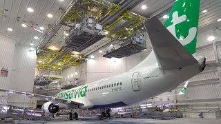 Avions Transavia  comment les boeing de notre flotte sontils assemblés [upl. by Annmaria]