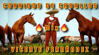 🔥MIX VICENTE FERNANDEZ🔥 CORRIDOS DE CABALLOS 🏇 🐎 🐴 [upl. by Assyral]