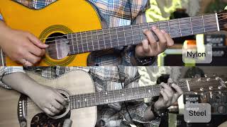 Which one sounds better Nylon vs Steel string guitar [upl. by Si]