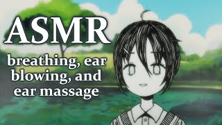 【ASMRSR3D】30 minutes of breathing ear blowing and ear massage with no talking for sleep 😴 [upl. by Ennovihc]