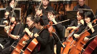 Tchaikovsky Symphony No5 2악장 [upl. by Noemis]