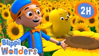 Spring Chick  Blippi Wonders  Preschool Learning  Moonbug Tiny TV [upl. by Nahej826]