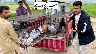 Zoo ke Birds Sale kr diye ğŸ•Šï¸ğŸ¦†ğŸ¦œğŸ¦¢ğŸ“ğŸ¦ƒğŸª¿ğŸ¦â€â¬› [upl. by Erbe181]