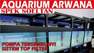 AQUARIUM ARWANA SPEK SOELTAN TERLENGKAP BERGARANSI [upl. by Arihas]