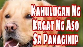 KAHULUGAN NG PANAGINIP NA ASO  IBIG SABIHIN MEANING [upl. by Esorrebma757]