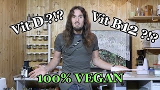 2017 ohne Supplemente  mein Vitamin D und B12 Bluttest bei veganer Ernährung [upl. by Ecraep]