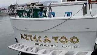 Azteca Too Sport Fishing Ensenadacom [upl. by Akirdnuhs]