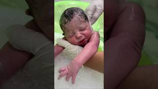 how🧑‍🍼new born😍🥰baby born shorts ytshorts newborn [upl. by Cavanagh57]