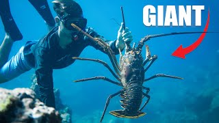 Catching GIANT LOBSTERS Bare Handed  Catch And Cook [upl. by Rehpotsirahc]