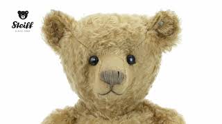 Steiff 1905 PAB 43 Teddy Bear Replica 403507 [upl. by Nesila209]