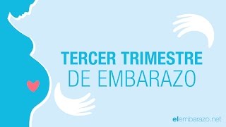 Tercer Trimestre de embarazo – Embarazo trimestre a trimestre [upl. by Dunc]