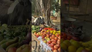 अंकल का सब्ज़ी गाय माता खा गई😱🥲humanity respect helping trending viralvideo youtubeshorts [upl. by Eemyaj]