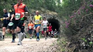 CORTINA DOBBIACO RUN 2013 [upl. by Riplex]