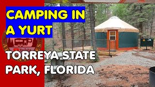 Yurt Camping at Torreya State Park  shorts  Florida Camping [upl. by Dudden]