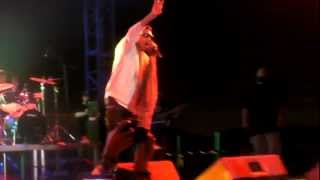 Wiz Khalifa  Young Wild and Free Live  2012 NSN Festival [upl. by Amilah]