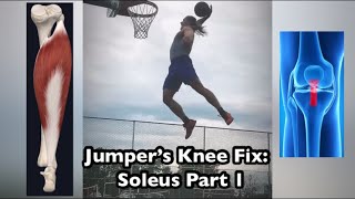 Jumper’s Knee Soleus Part 1 Fix Patellar Tendon Pain [upl. by Zohara97]