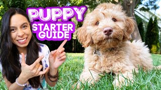 FIRST DAYS WITH NEW PUPPY 🐶 Everything you need to know and do [upl. by Eidnew380]