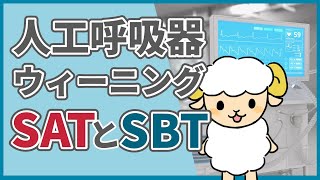 人工呼吸器のウィーニング：SATとSBT【最も早く抜管できる方法】 [upl. by Jacquenetta]