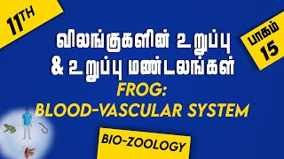 Organ amp Organ Systems in Animals  11th BIOZOOLOGY Chapter 4 PART 15 Frog BloodVascular System [upl. by Ahlgren]