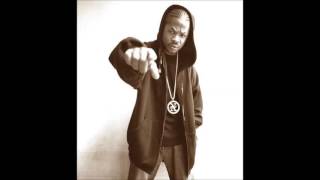 Xzibit  Paparazzi [upl. by Fabiano]