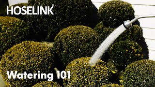 Watering 101 with Horticulturist Ben Hayman  Howto Garden Series  Episode 5 [upl. by Flavian]