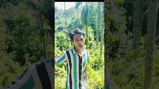 Moloya Tumare Namot Assamese Boy Reels Video insta Karanhajong02 Fallol Karo Follow Back lo reels [upl. by Eelrak216]