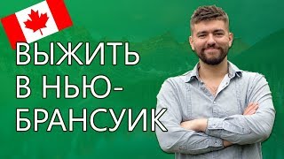 КАК ВЫЖИТЬ В НЬЮБРАНСУИК Иммиграция в Канаду №120 [upl. by Brad]