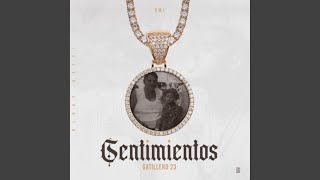 Sentimientos [upl. by Engis]