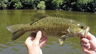 Indiana Kayak Fishing Tippecanoe Smallmouth 7818 [upl. by Llednor307]