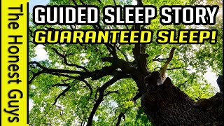 quotThe Great Oakquot Guided Sleep Story Meditation The Haven Series [upl. by Dirgis481]