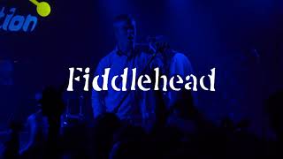 Fiddlehead Full Set 4K  Chain Reaction [upl. by Frymire]