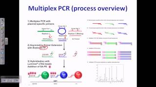 Multiplex PCR [upl. by Annawaj]