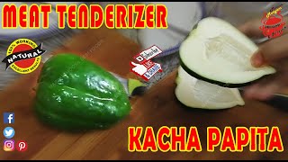 Meat Tenderizer  Homemade Steak Tenderizer  Kacha Papita for Meat  100 Natural [upl. by Shultz]