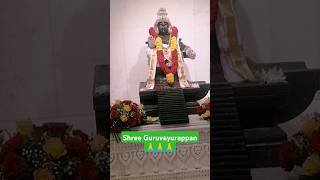 Shree Guruvayurappan In Dubai Hindu Temple shortvideo shorts guruvayurappan trendingshorts [upl. by Sosna]