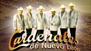 Los Cardenales de Nuevo Leon 2014 [upl. by Colly]