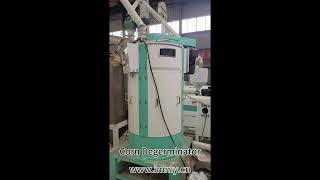 Corn Degerminator Integrated Wheat Maize Flour mill Machine EPC services provider wwwimmycn [upl. by Torruella756]