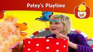 Peteys Playtime  Cartoon for Children  Luli TV [upl. by Orat]