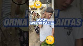 Hollman orina las plantas [upl. by Yhcir]