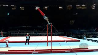 BRETSCHNEIDER Andreas GER  2017 Artistic Worlds Montréal CAN  Qualifications Horizontal Bar [upl. by Rasla329]