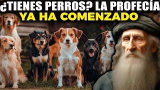 Lo Que NOSTRADAMUS Predijo Para LOS DUEÑOS DE PERROS  Descubre las Profecías [upl. by Sitnalta114]