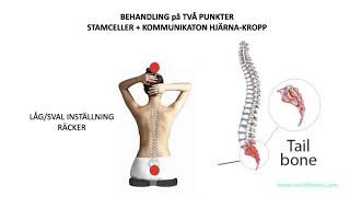 GRUNDBEHANDLING Dr Cochrans 2punktsbehandling Aktivera STAMCELLER amp LÄKNING för HELA KROPPEN [upl. by Shien261]