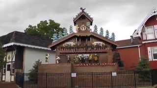 Worlds Largest Cuckoo Clock  Sugarcreek Ohio [upl. by Ilysa]