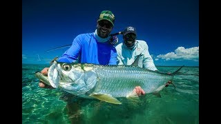 Abaco Lodge In a Tarpon Trance [upl. by Aseram]