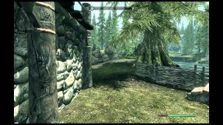 The Elder Scrolls V Skyrim Easy gold making method [upl. by Ssor]