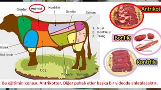 ANTRİKOT EĞİTİMİ Bonfile Kontrfile Eğitim SamimiMutfak [upl. by Niletak18]